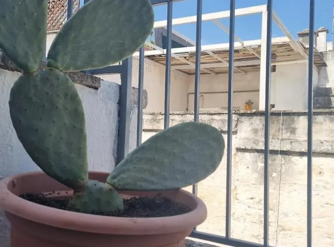 מלון Casa Di Barbie *